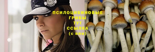 ПСИЛОЦИБИНОВЫЕ ГРИБЫ Алзамай