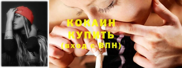 ПСИЛОЦИБИНОВЫЕ ГРИБЫ Алзамай