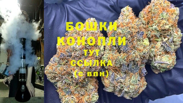 ПСИЛОЦИБИНОВЫЕ ГРИБЫ Алзамай