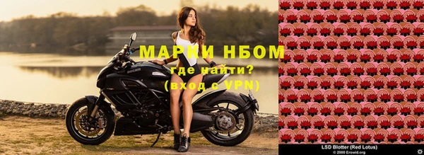 ПСИЛОЦИБИНОВЫЕ ГРИБЫ Алзамай