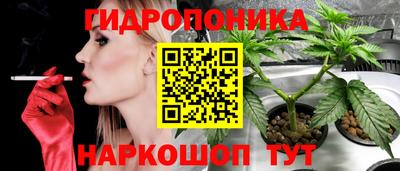 эйфоретик Бузулук