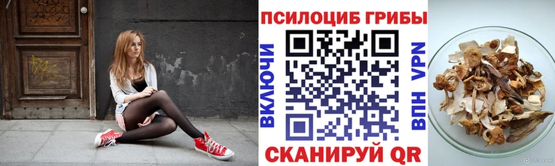 Галлюциногенные грибы MAGIC MUSHROOMS  дарк нет наркотические препараты  Владимир 
