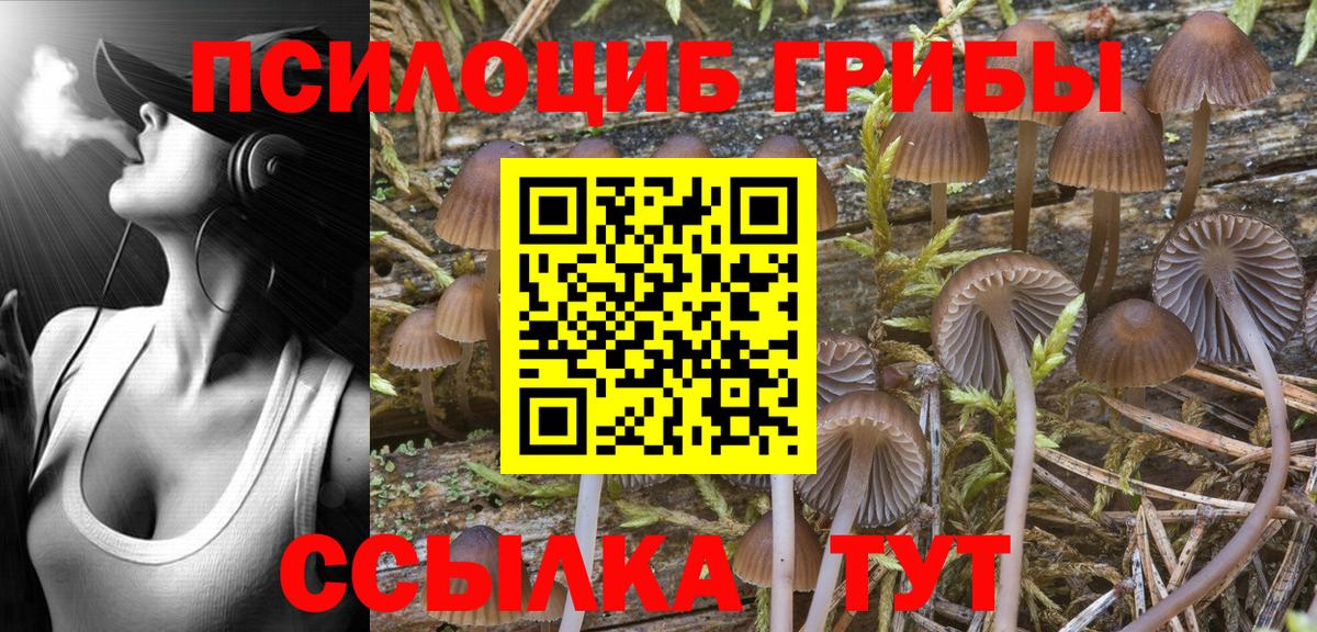 Псилоцибиновые грибы MAGIC MUSHROOMS Владимир